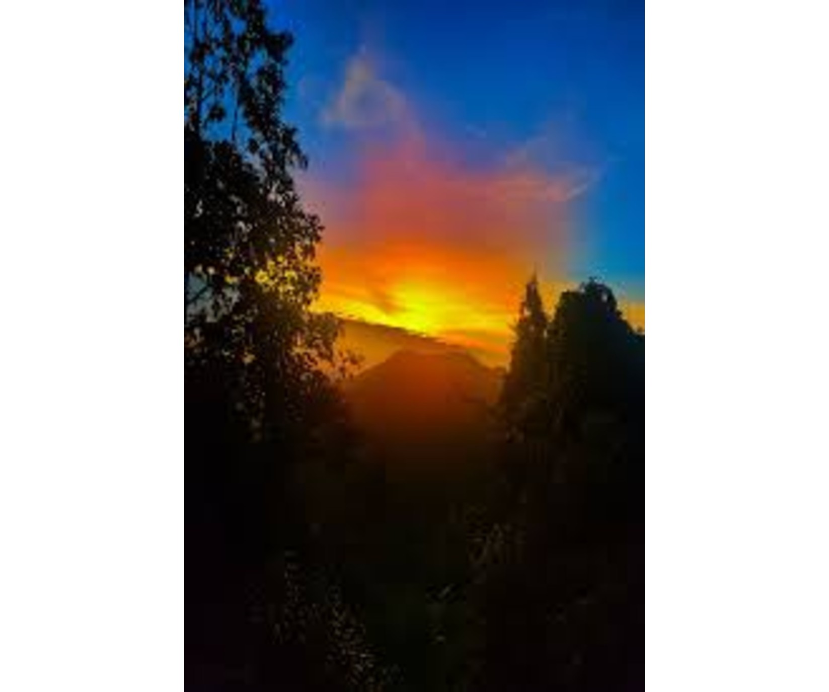 news-banner